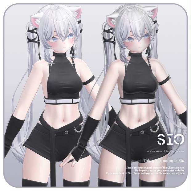 Sio image 6