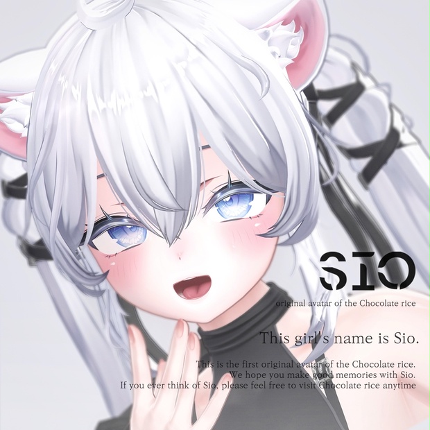 Sio image 1