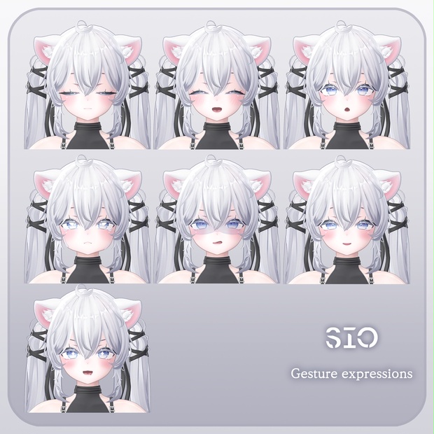 Sio image 7