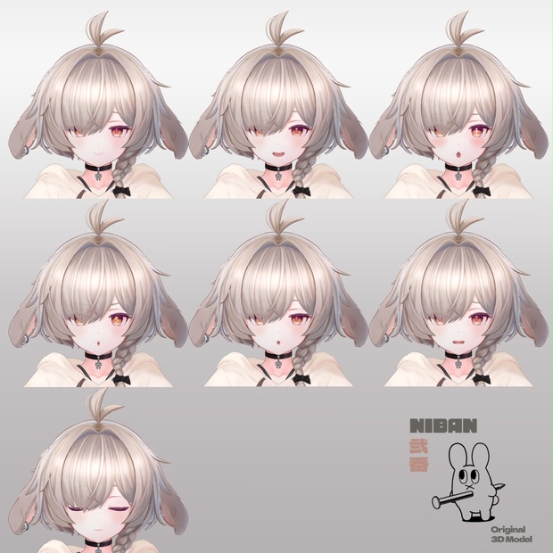 NIBAN image 20