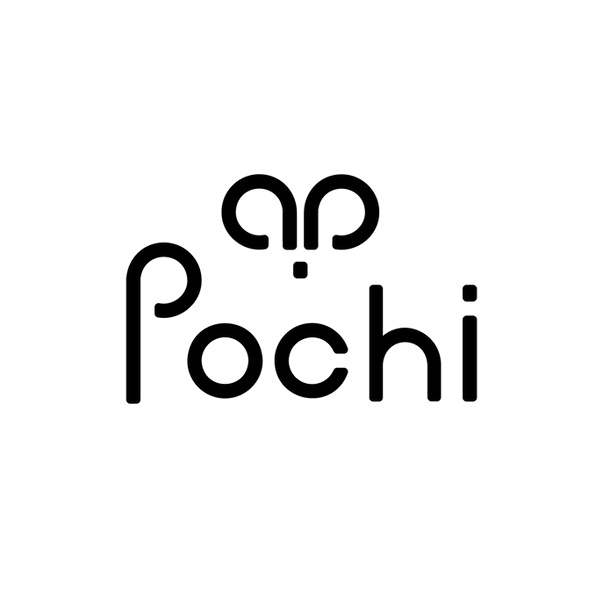 pochibykt
